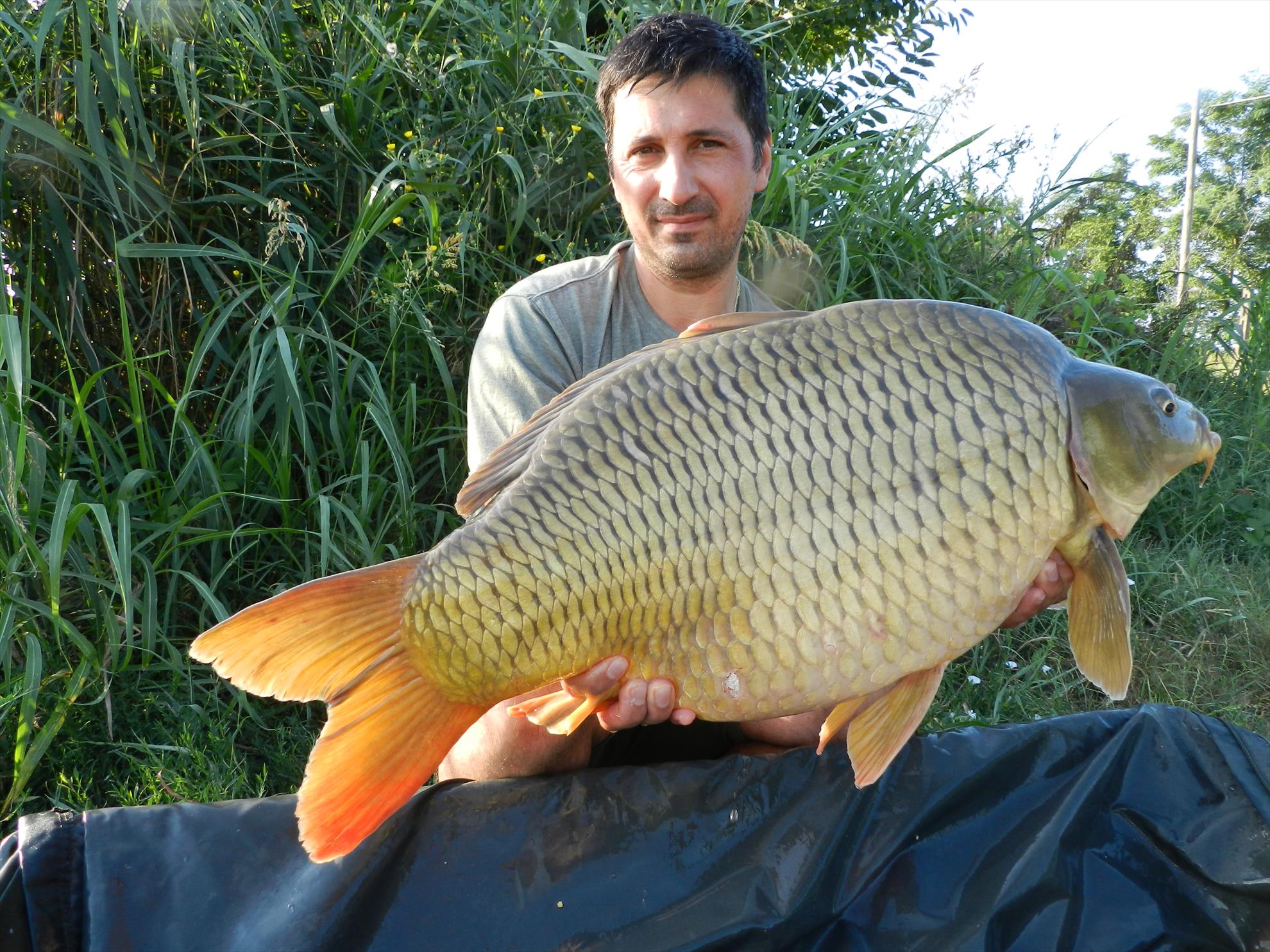 2015/iulie capturi - dscn4068.JPG